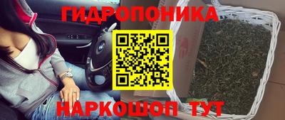спиды Кунгур